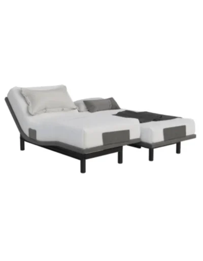 Ergomotion Champion T Royal Adjustable Doubl Bed