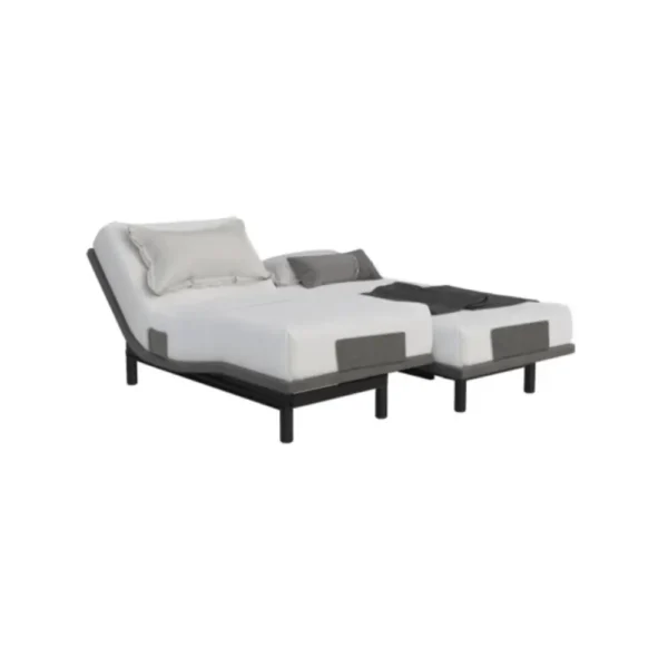Ergomotion Champion T Royal Adjustable Doubl Bed