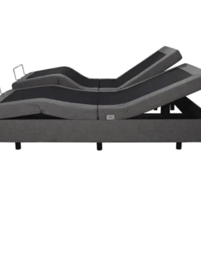 Ergomotion Champion T Royal Adjustable