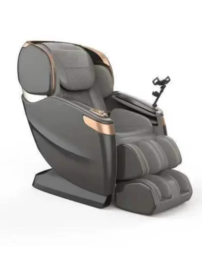 OGAWA Master Drive AI Main 2