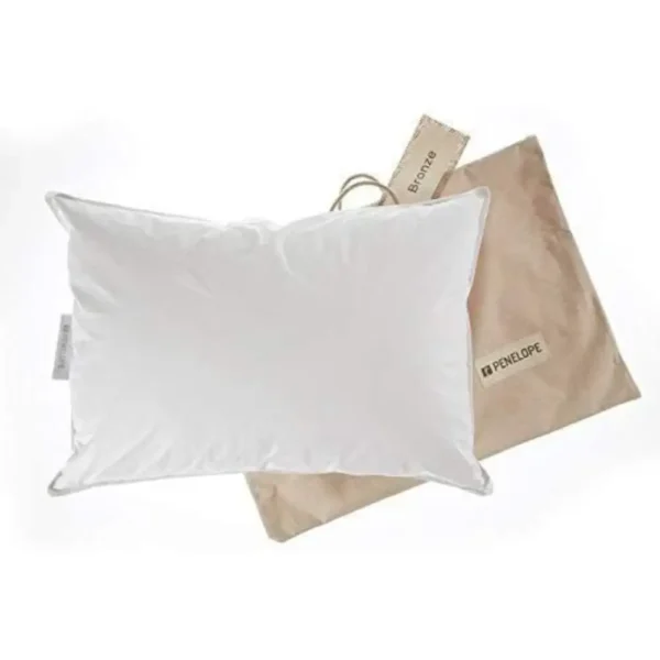 Penelope Bronze Pillow with Cover